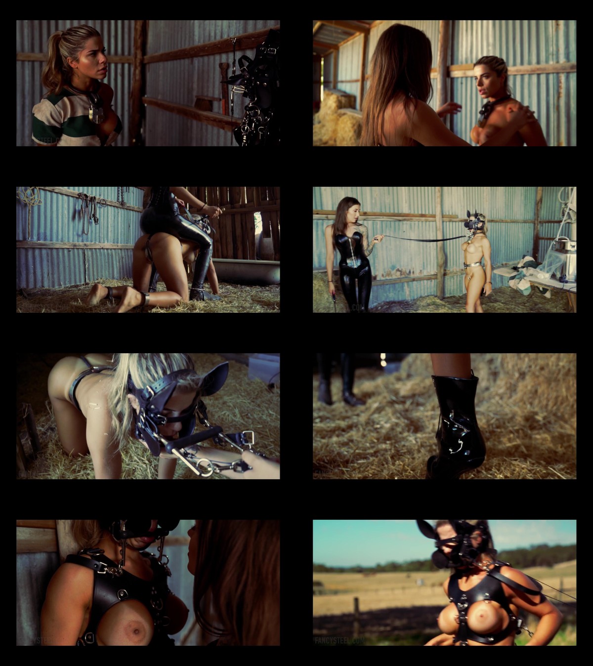 Fancysteel porn