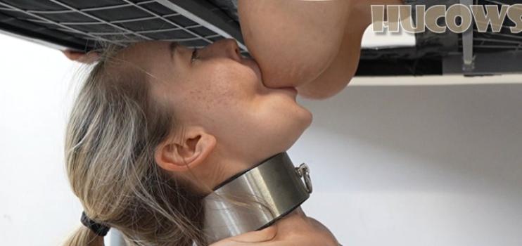 Hu Cows – Carol & Renny